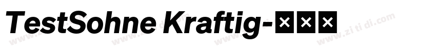TestSohne Kraftig字体转换